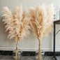 40" Natural Pampas Grass – 10 Stems Tall Beige Dried Floral Bouquet for Boho, Wedding, Farmhouse & Home Decor