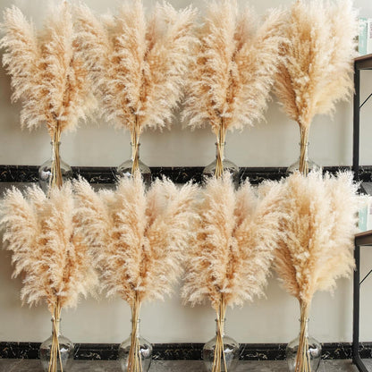 40" Natural Pampas Grass – 10 Stems Tall Beige Dried Floral Bouquet for Boho, Wedding, Farmhouse & Home Decor