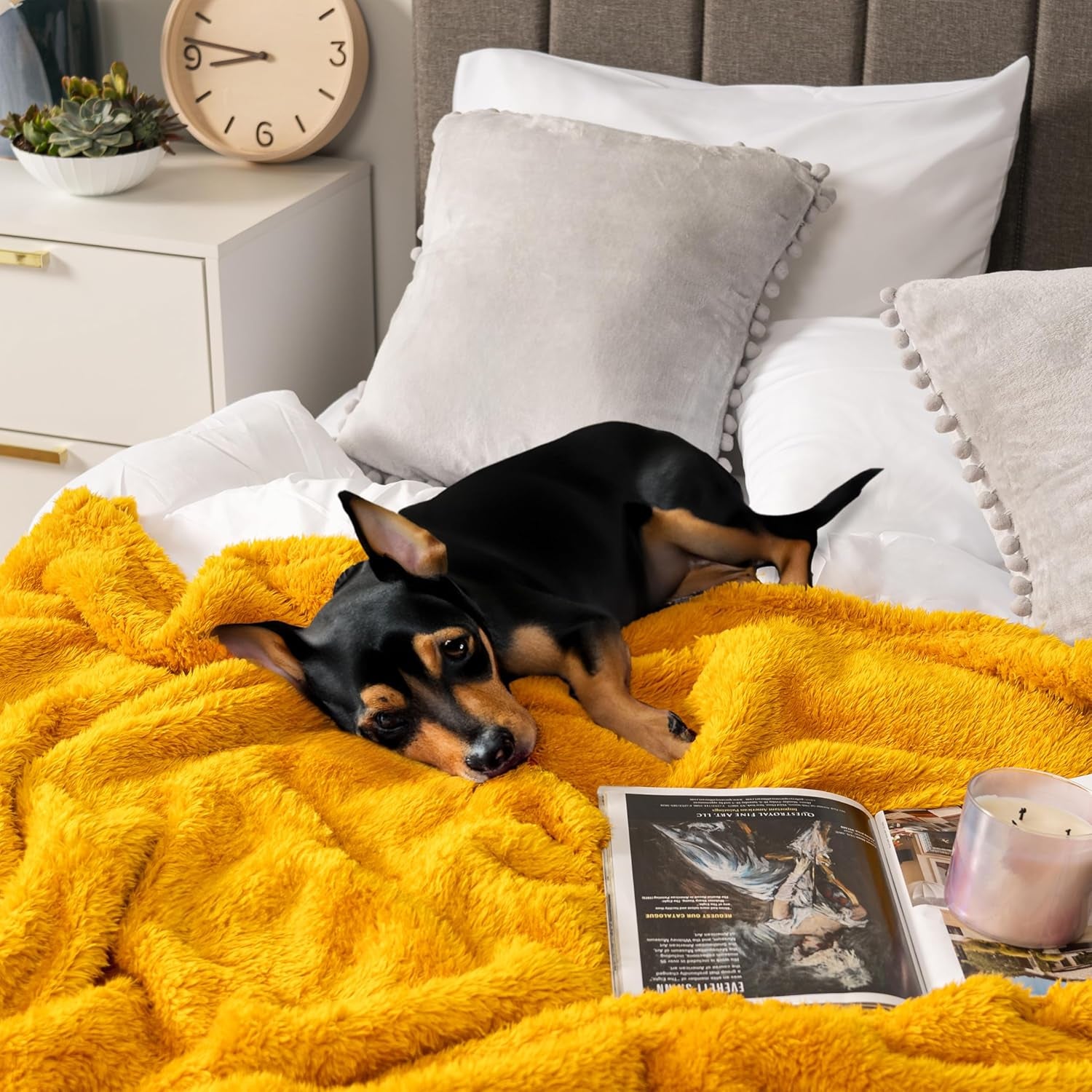 Yellow Gold Sherpa Fleece Throw Blanket – 50x60” Cozy, Lightweight & Plush Decorative Blanket for Sofa, Bed & Travel