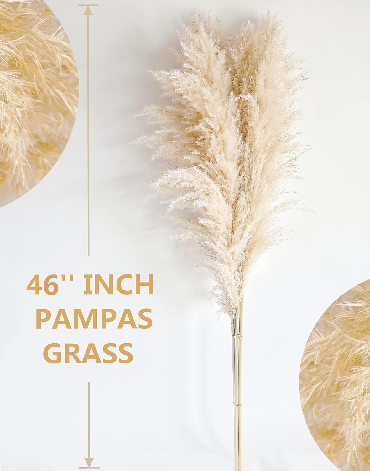 40" Natural Pampas Grass – 10 Stems Tall Beige Dried Floral Bouquet for Boho, Wedding, Farmhouse & Home Decor
